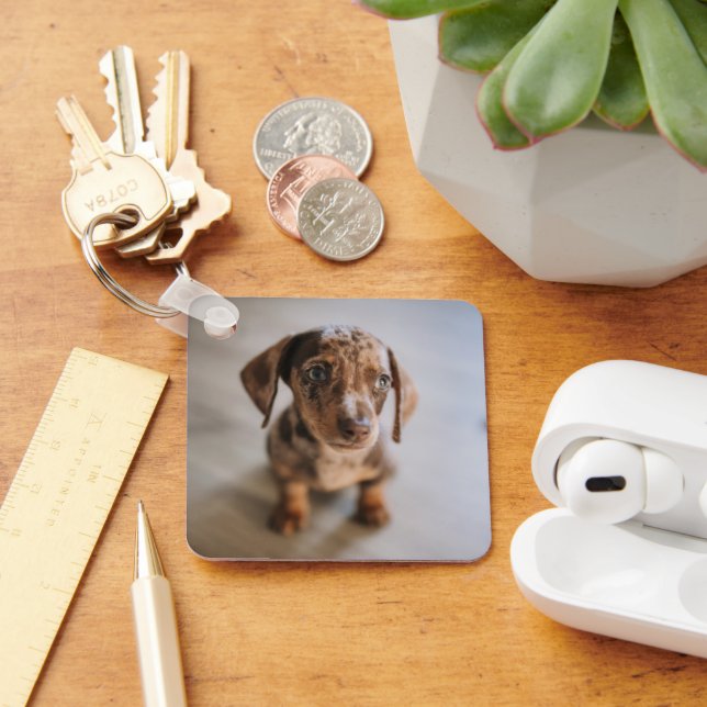 Porte-clés Animaux de bébés cutest | Chiot Brown (Bureau)