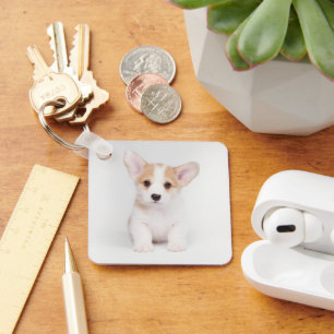 Porte-clés Animaux de bébés cutest Chiot de Corgi blanc