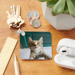 Porte-clés Animaux de bébés cutest Cute Tabby Kitten