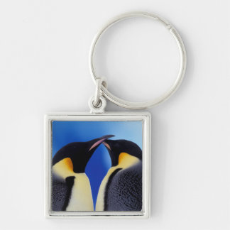 Porte-clés Antarctique, Manchots empereurs