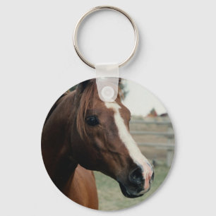 Porte-clés Arabian au Pasture