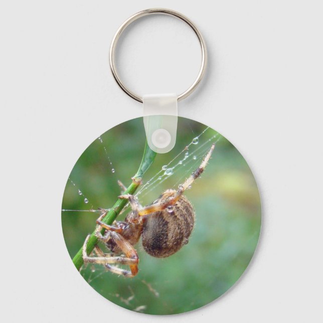 Porte-clés Araneus - Orb Weaver Spider (Recto)