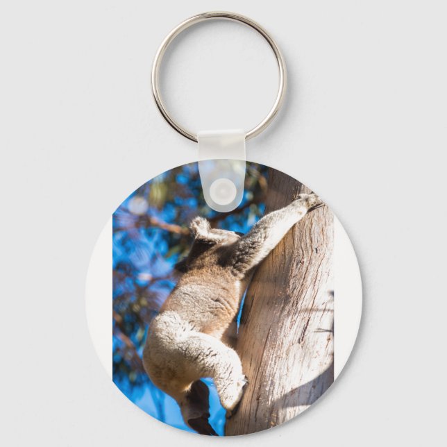 Porte-clés arbre à escalades de koala en Australie (Recto)