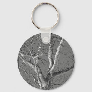 Porte-clés Arbre Sycamore contre les objets Sky hivernaux