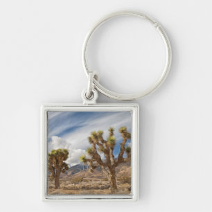 Porte-clés Arbres de Joshua dans le désert