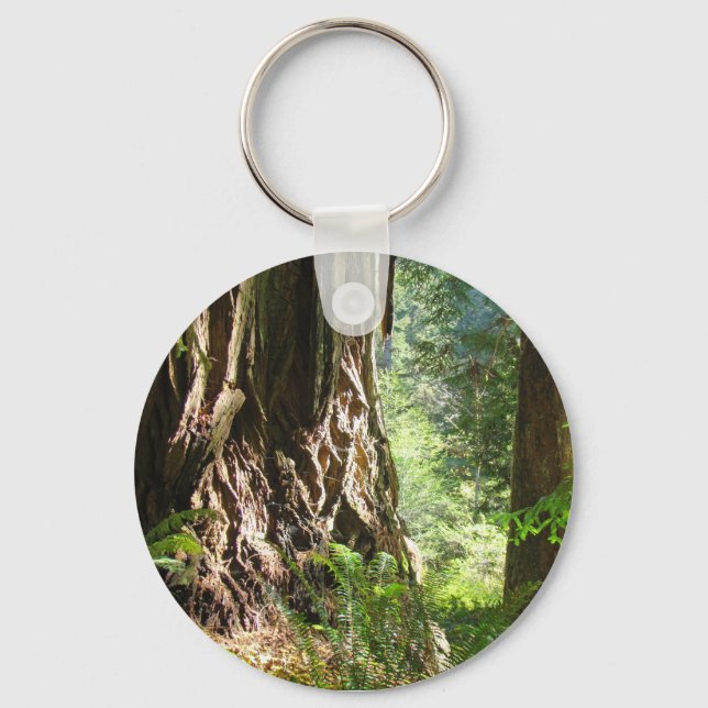 Porte-clés Arbres de séquoia (Recto)