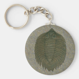 Porte-clés Arctinrus Boltoni Trilobite Fossil