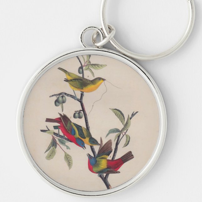 Porte-clés Audubon Peint Bunting Bird Wildlife (Devant)