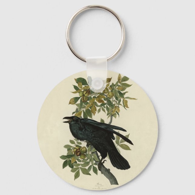 Porte-clés Audubon Raven Oiseau classique (Recto)