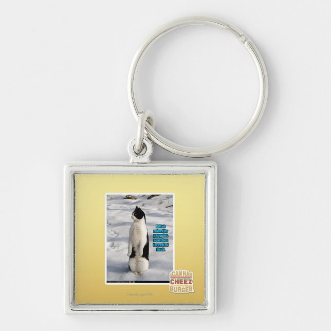 Porte-clés Augmenté par des pingouins (Devant)