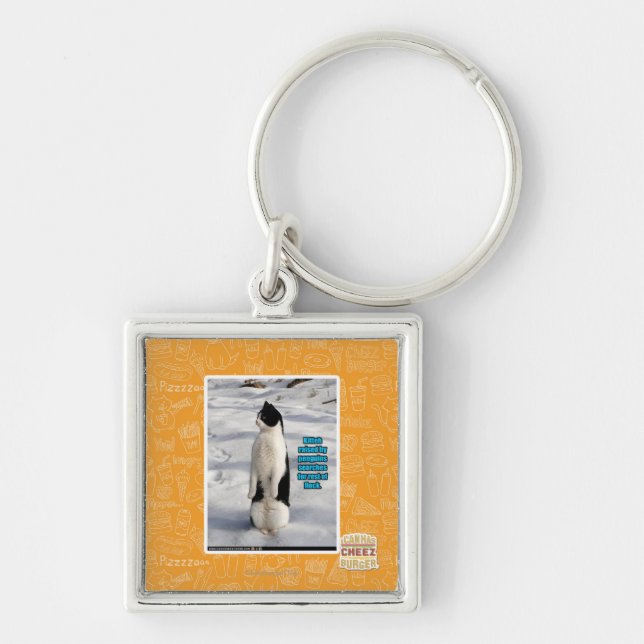 Porte-clés Augmenté par des pingouins (Devant)
