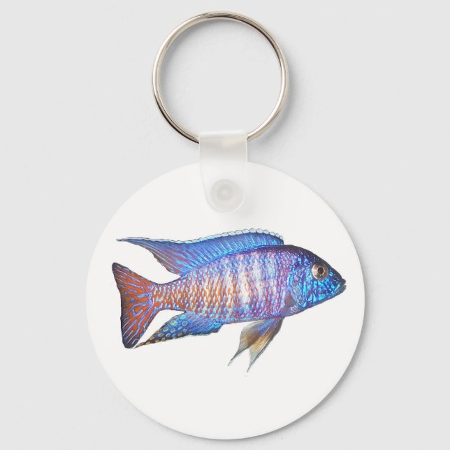 Porte-clés Aulonocara paon (Recto)