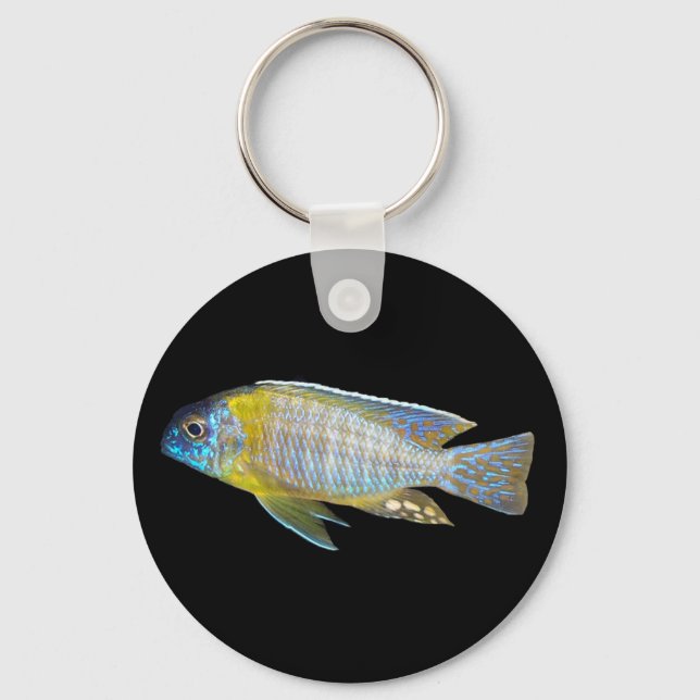 Porte-clés Aulonocara steveni porte - clé (Recto)