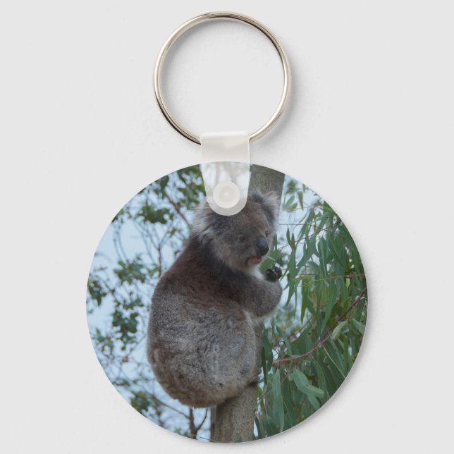 Porte-clés Australie Kangaroo Island Koala dans un arbre (Recto)