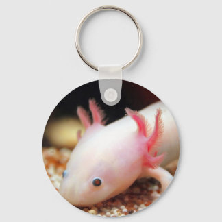 Porte-clés Axolotl