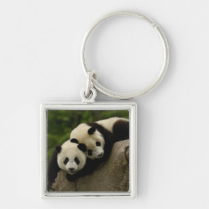 Porte-clés Baby panda géante Ailuropoda melanoleuca)