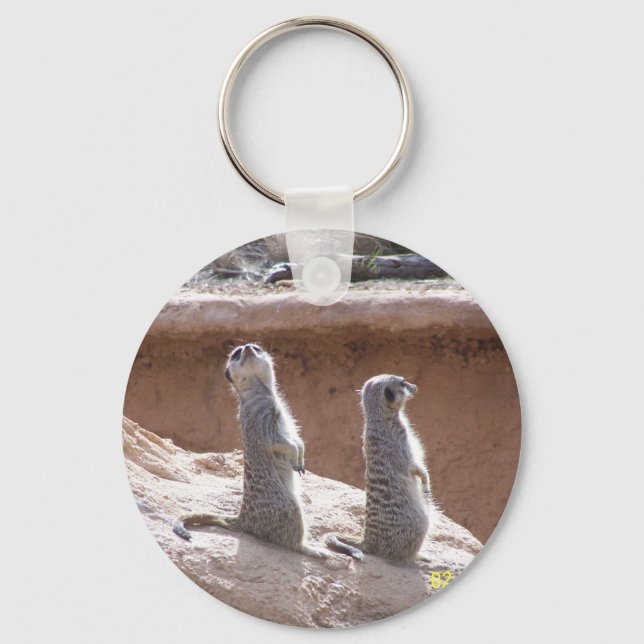 Porte-clés Bague clé de patrouille de Meercat (Recto)