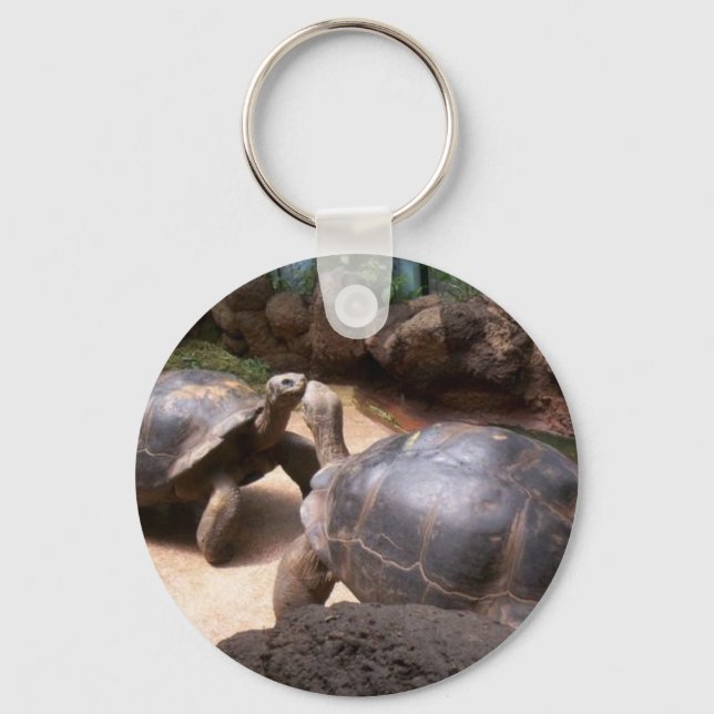 Porte-clés Baiser de tortue géante (Recto)