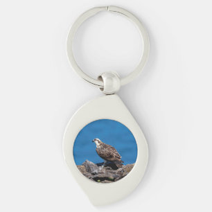 Porte-clés Balbuzard pêcheur sur les rochers