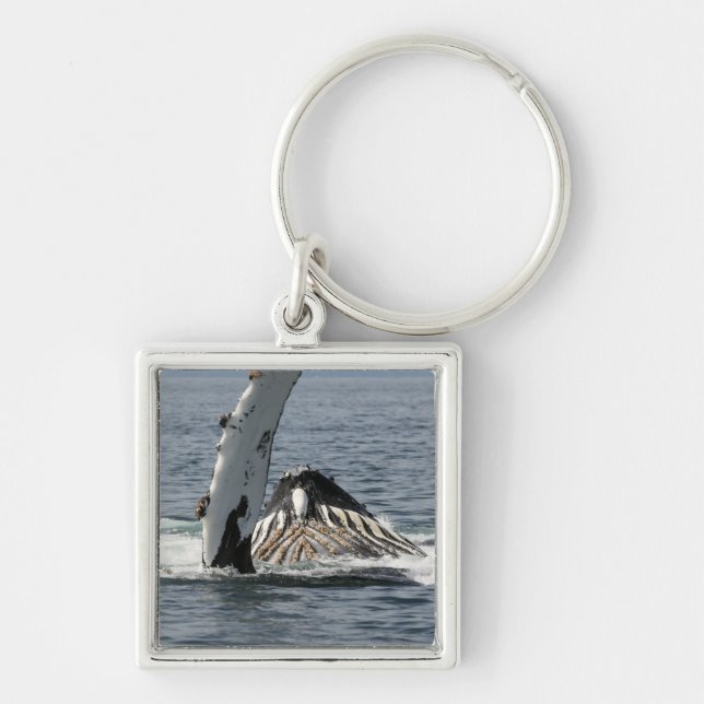 Porte-clés Baleine à bosse (Devant)