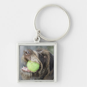 Porte-clés Balle de tennis acérée de chien d'indicateur, plan