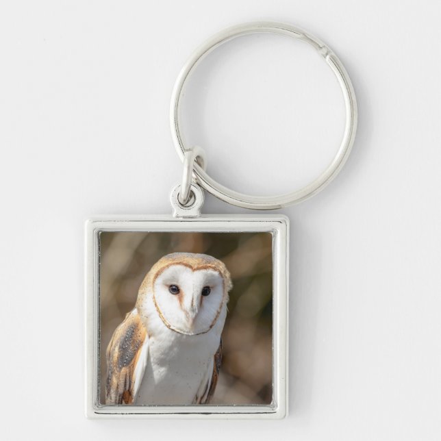 Porte-clés Barn Owl (Devant)