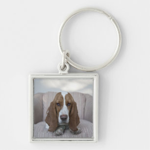 Porte-clés Basset Hound
