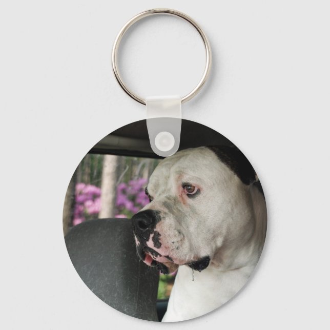 Porte-clés baver le Bulldog américain (Recto)