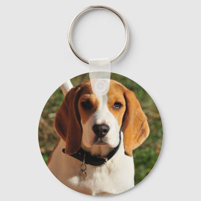 Porte-clés Beagle (Recto)