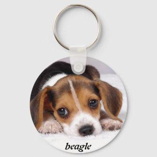 Porte-clés beagle-chiots-papier peint-11.jpg, beagle
