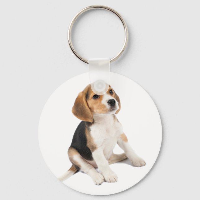 Porte-clés Beagle Puppy (Recto)