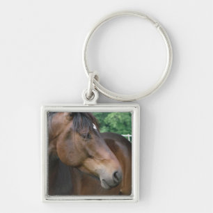 Porte-clés Beau cheval de Bay