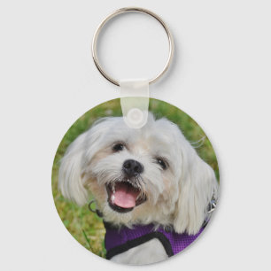 Porte-clés Beau Chien à chiots maltais blanc farci