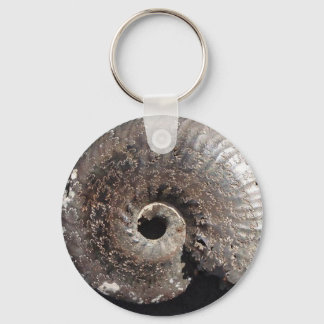 Porte-clés Beau fossile de pyrite ammonite montrant sutures