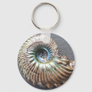 Porte-clés Beau fossile écossé nacré d'ammonite