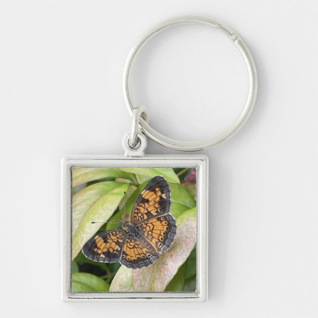 Porte-clés Beau papillon en Porte - clé de la nature (Devant)