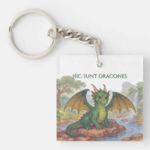 Porte-clés Beau petit dragon vert
