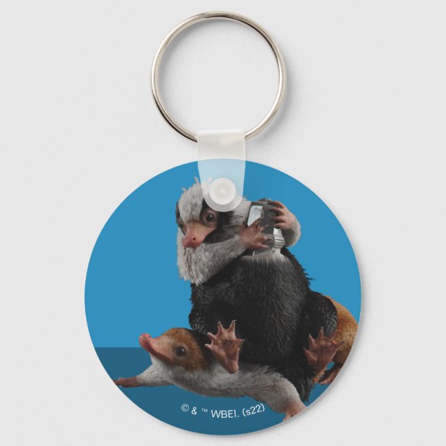 Porte-clés Bébé Nifflers Trouve Un Prix (Recto)