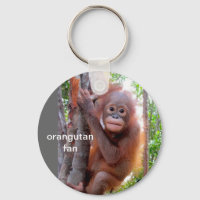 Bébé Orangutan dans l'arbre