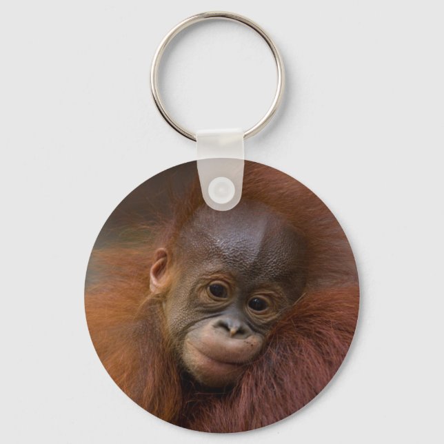 Porte-clés bébé Orangutang (Recto)