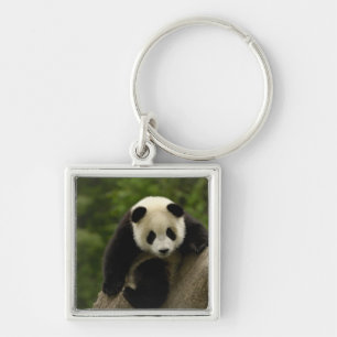 Porte-clés Bébé panda géant