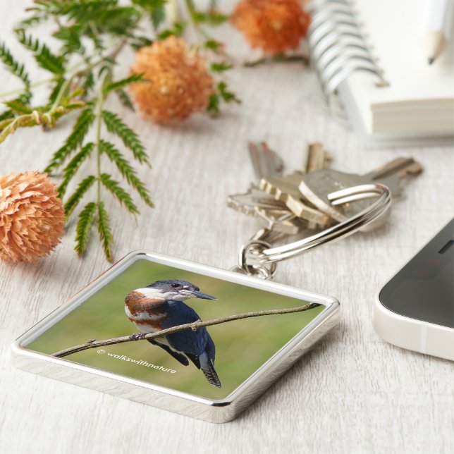 Porte-clés Belle ceinture de martin-pêcheur sur un membre (Côté)