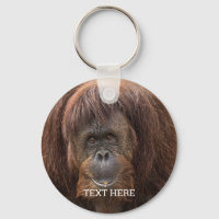 Belle photographie de Borneo Orangutan