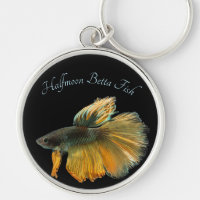 Belle Siamese Combattre Poisson Betta demi-lune