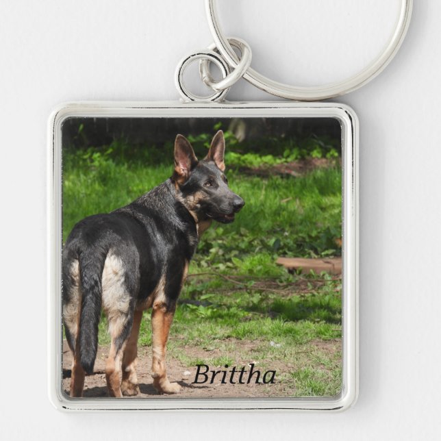 Porte-clés Berger bleu allemand (Devant)