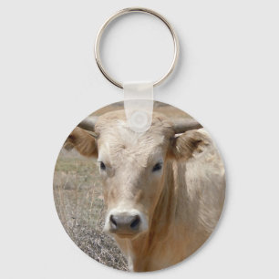 Porte-clés Bétail blancs du charolais de grands yeux -