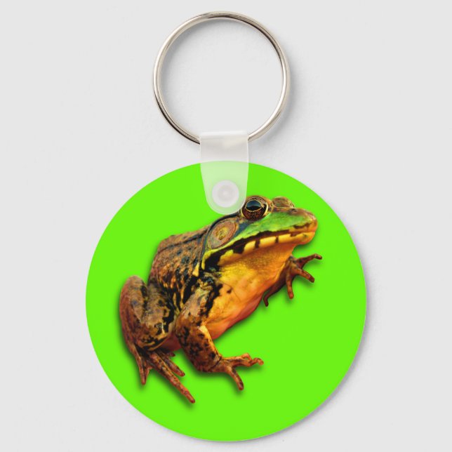 Porte-clés Big Bullfrog Porte - clé vert (Recto)
