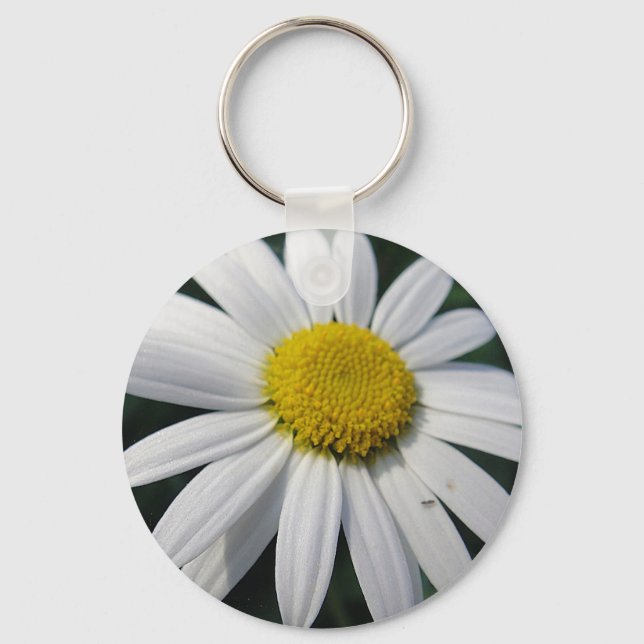 Porte-clés Big White Daisy Porte - clé (Recto)