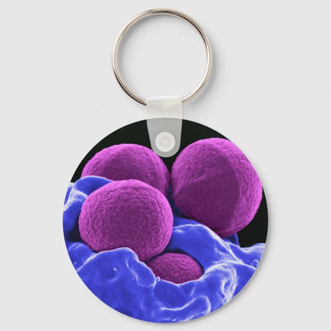 Porte-clés biologie microbiologie cadeau pour les étudiants e (Recto)