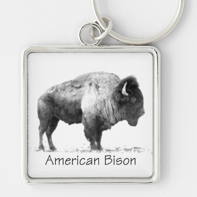 Porte-clés Bison américain (Devant)